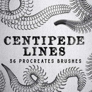 May include: Monochrome digital artwork showing centipede-inspired lines in curved and spiral patterns. The text "CENTIPEDE LINES" and "36 PROCREATE BRUSHES" are displayed in a bold, textured font. A Procreate app icon is in the upper right corner.