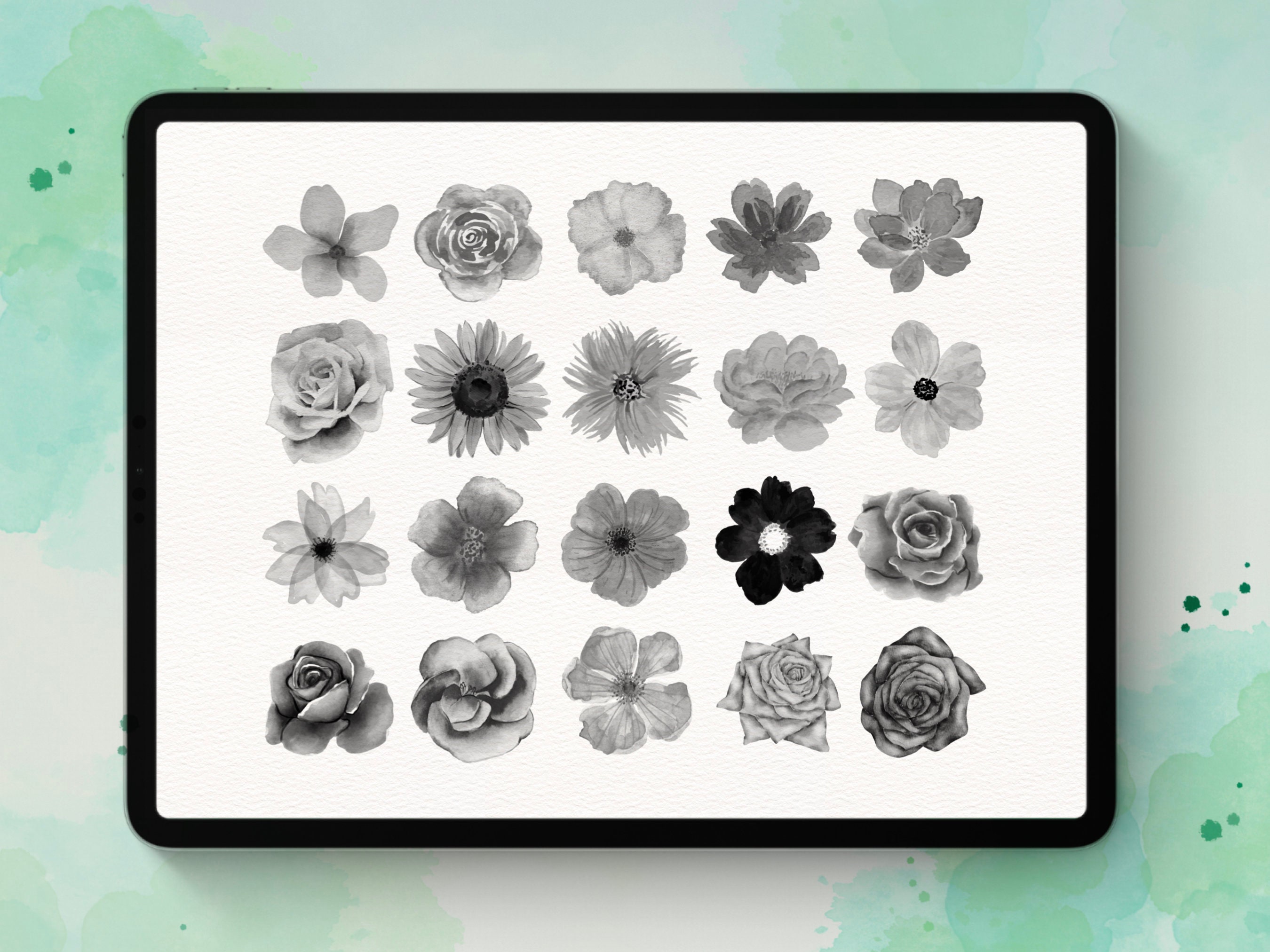 Watercolor Flowers & Leaves Procreate Stamp Brush Set - Etsy