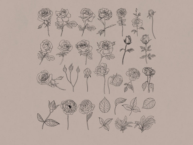 Roses Procreate Stamp Brush Set - Etsy