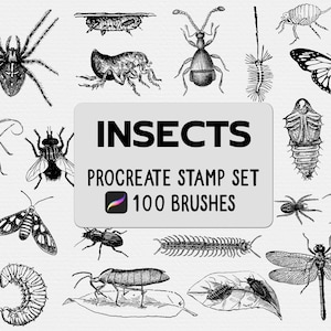 Insects & Bugs Procreate Stamp brush Set
