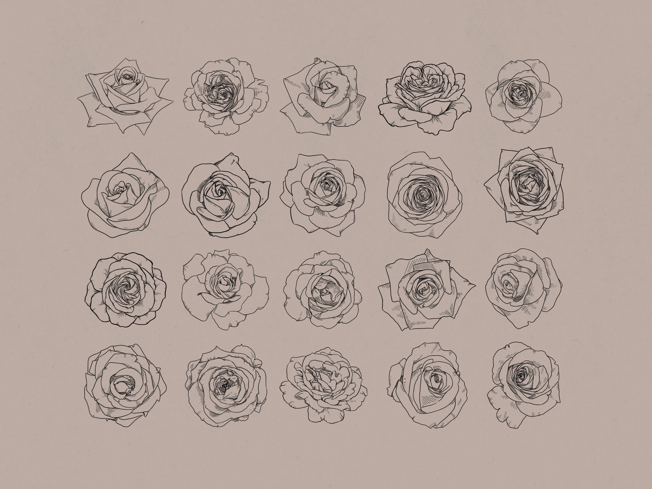 Roses Procreate Stamp Brush Set - Etsy