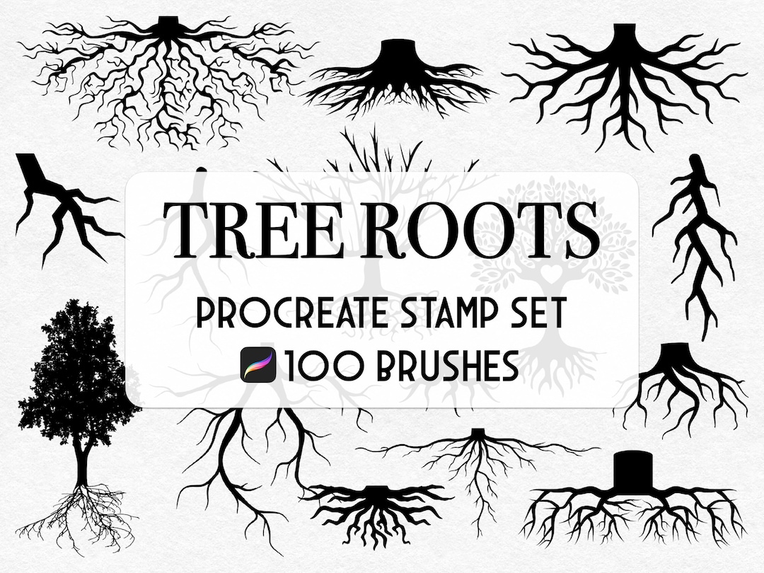 Tree Roots Procreate Stamp Brush Set - Etsy