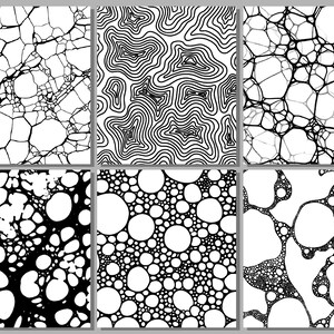 May include: Six abstract art prints with black and white designs. The prints feature various patterns, including cracked textures, contour lines, and bubble-like shapes. The artwork is displayed on a light gray background.