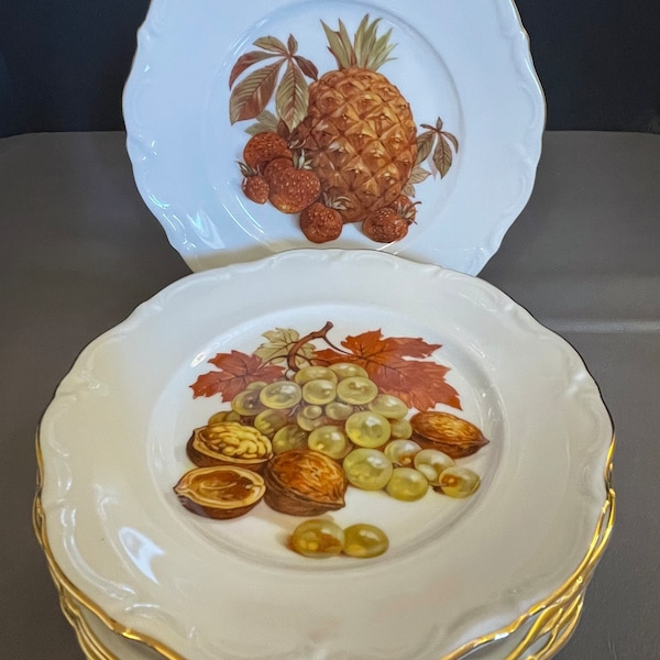 Lot de 6 assiettes vintage de 7,5 po. Winterling Roslau, Bavaria W. Germany, motif fruits et noix avec bordures dorées. État neuf