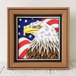 Peut inclure: Une œuvre d'art encadrée en papier représentant un aigle chauve détaillé sur fond de drapeau américain. L'aigle a des plumes blanches et marron, un bec jaune, le tout dans un cadre en bois marron.