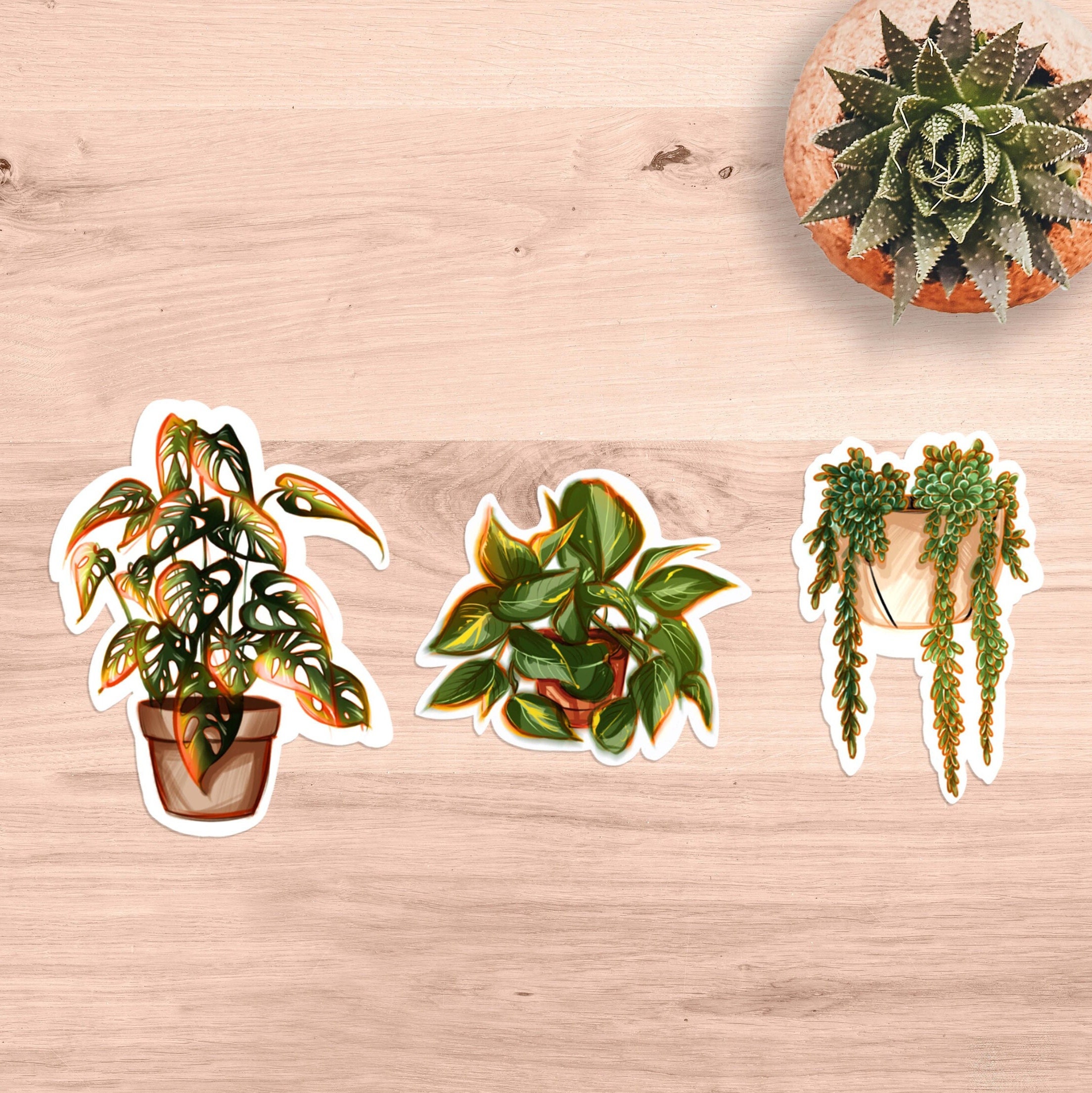 Autocollants stickers plantes vertes