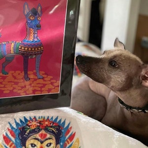 Xoloitzcuintli Alebrije print