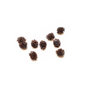 Dollhouse Miniature resin pine cone - 1:24 scale