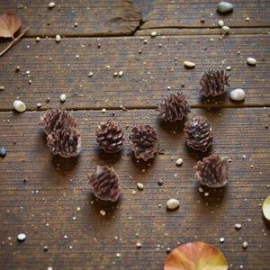 Miniatur-Kiefernzapfen aus Kunstharz für Puppenhäuser – Maßstab 1:24