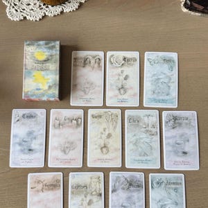 May include: A deck of astrology cards with a box featuring the title "Astrology The Path". The cards are illustrated with zodiac signs, flowers, and symbols. The cards are arranged on a light brown surface.