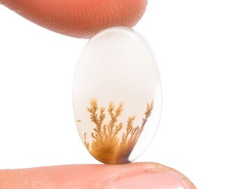 May include: Oval-shaped, translucent gemstone with a dendritic inclusion resembling a tree. The inclusion is a mix of brown and tan hues, set against a clear, white background. The gemstone is held between two fingers, showcasing its polished surface.