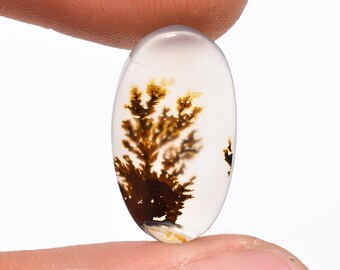 May include: Oval-shaped clear gemstone with a dendritic inclusion resembling a tree. The inclusion is brown and black, creating a natural, organic pattern within the translucent stone. The gemstone is held between two fingers.