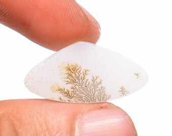 May include: A white dendritic agate gemstone with a unique, tree-like pattern in shades of brown and gold. The polished stone is held between two fingers, showcasing its smooth surface and natural beauty. The gemstone is a light, neutral color.