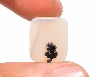 May include: A polished, rectangular gemstone with a creamy white base and a black, tree-like inclusion. The stone is held between two fingers, showcasing its smooth surface and unique internal pattern. The gemstone is a natural mineral.