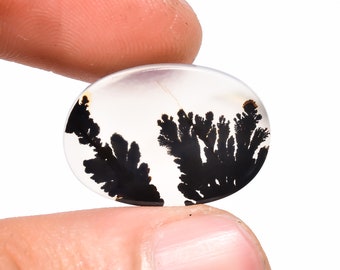 May include: An oval-shaped gemstone with a clear, translucent base. The stone features striking black dendritic inclusions resembling tree-like patterns. The gemstone is held between two fingers, showcasing its size and detail. A unique and natural piece.