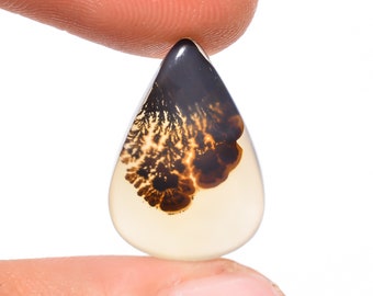 May include: A teardrop-shaped gemstone with a translucent, creamy base. The top is a dark, glossy black, transitioning to a brown, tree-like pattern within the stone. Held between two fingers against a white background.