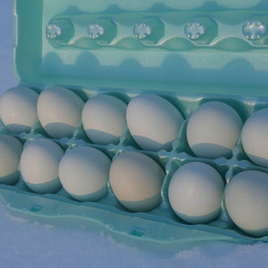 May include: A carton of a dozen pale blue eggs in a light blue egg carton.