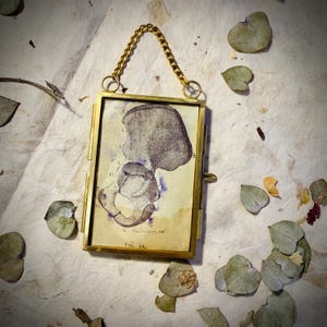 Anatomíc wall decor, mixed media frame box, Traditional Tattoo Inspired Art, Traditional Tattoo Decor, tattoo Art
