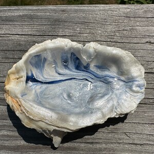 Painted Oyster Shell