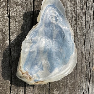 Painted Oyster Shell