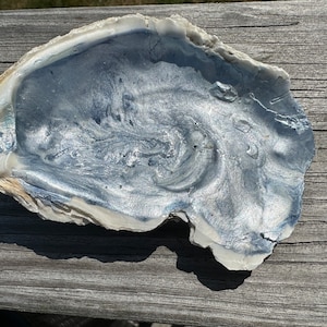 Coquille d'huître peinte