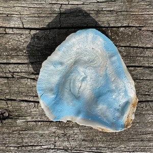 Painted Oyster Shell
