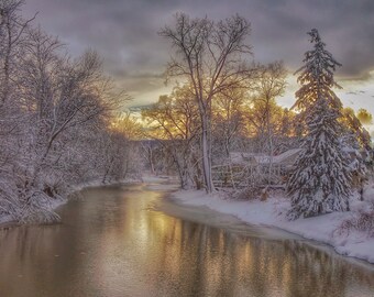 Winter reflection