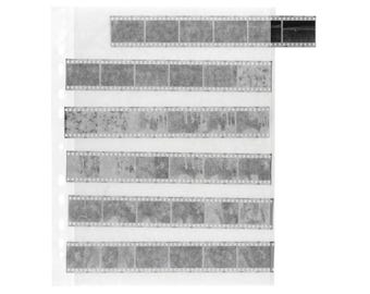 Archival Glassine Negative Sleeves for 35mm film / Pergamin PAT