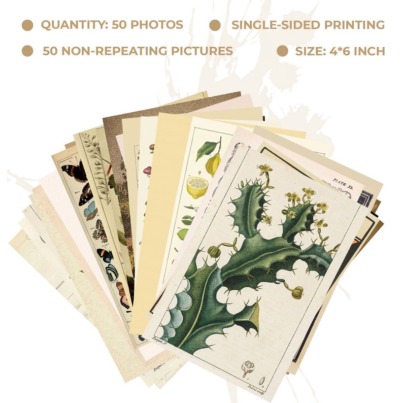 50 PC Vintage Wall Collage Kit Vintage Room Bedroom Wall Dorm Etsy