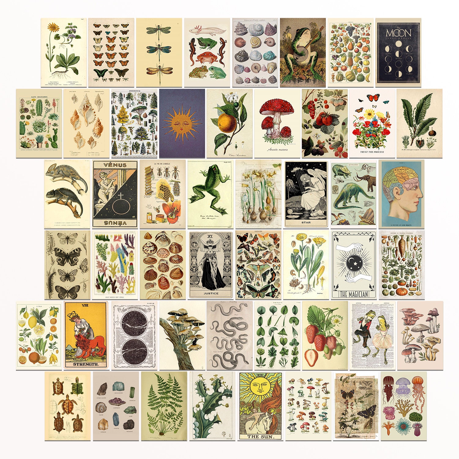 50 PCS Vintage Wall Collage Kit Vintage Room Bedroom Wall Etsy Hong Kong