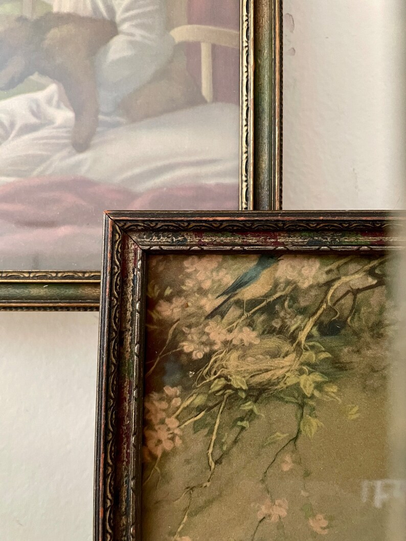 Vintage Framed Prints Adelaide Hiebel Bluebird Print Zula Etsy