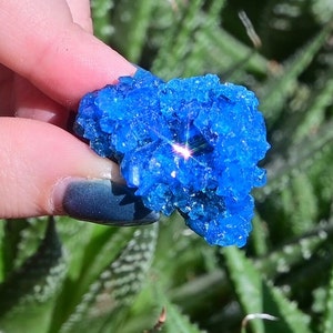 カルカンサイト 標本