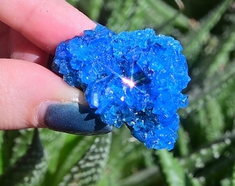 Chalcanthite crystal, chalcanthite, chalcanthite specimen, chalcanthite cluster, chalcanthite druzy, blue chalcanthite, blue mineral