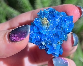 FREE GIFT BOX, Chalcanthite, vibrant blue mineral specimen, rare find from China, geological treasure, blue crystal