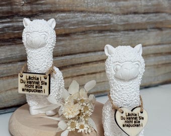 Alpaka , Lama mit Holzschild, Geschenkidee, Holztafel, Spruch, Geschenk ,Mitbringsel | mit Spruch