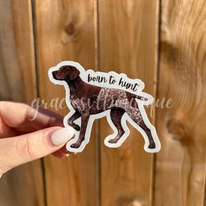pointeur allemand aux cheveux courts | né pour chasser l'autocollant de chien de Zazzle.be Liste d'envies Vous avez des idées ? Décalcomanie en vinyle pour bouteille d'eau pour ordinateur portable pour chien de chasse | Cadeau pour amoureux des chiens | Chien canard