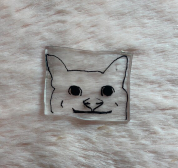 Polite cat best sale shirt