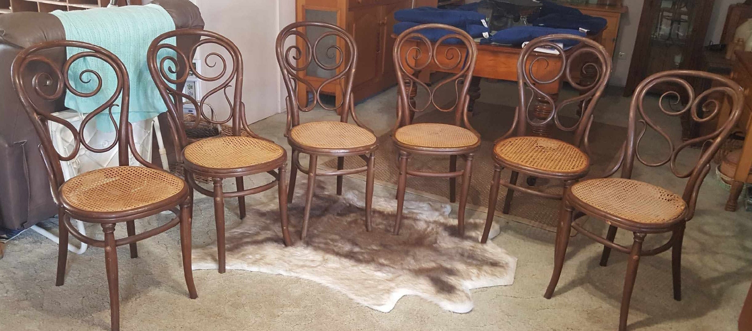 Bentwood chairs set of 6 - Etsy 日本