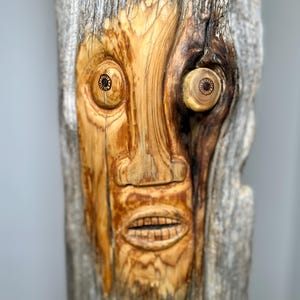 Bewildered Driftwood Sculpture: a unique conversion piece— 4 foot sculpture - Driftwood from the east coast of Canada