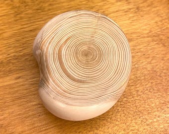 May include: A close-up of a wooden disc with visible growth rings. The disc is light brown and has a smooth, rounded surface.