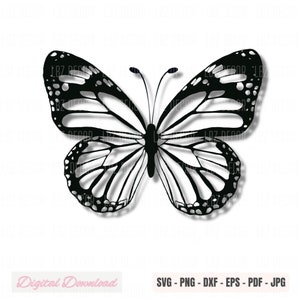 Butterfly Clipart SVG, Digital Download