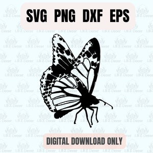 Butterfly SVG, Butterfly Clipart, Butterfly Vector, Digital Download