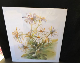 Limited edition watercolor print 'Daisies' by Marge Anderson,  signed and numbered, 1984, 14x16"