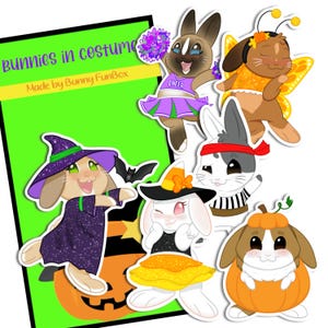 May include: A collection of six bunny stickers in various costumes, including a cheerleader, a butterfly, a witch, a referee, a pumpkin, and a fairy. The background features a green card with the text bunnies in costume and Made by Bunny FunBox.
