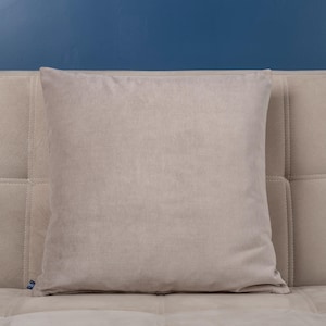 Light Brown Velvet Throw Pillow: Polyester Cushion Cover (22x22 inch)