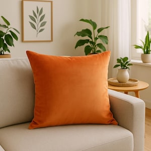 Burnt Orange Velvet Pillow Cover - Decorative Throw Pillow for Boho Home, Rustic Cushion for Sofa, Fall Bedroom or Living Room Decor