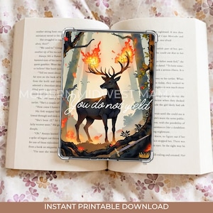 Throne Of Glass E=reader Insert | Fantasy Book Insert| Book Gift | Booktok Kindle | Kindle Accessory
