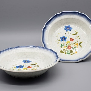 Set of 2 Vintage Mikasa Country Club, Fresh Cuttings Bowl, Floral, Japan 8.5&quot;x2&quot;