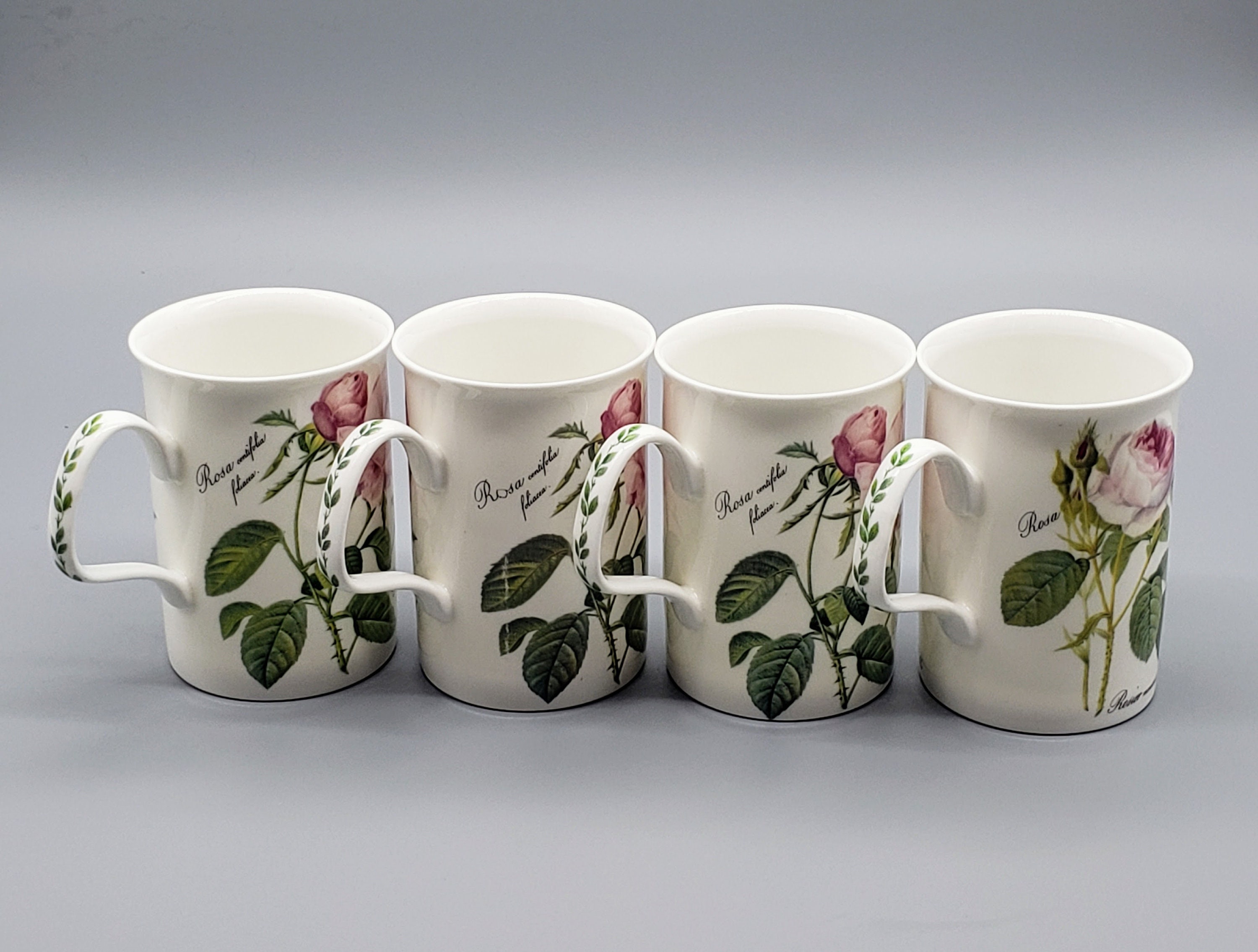 Roy Kirkham Latte Tasse – Bone China Porzellan, Rosen-Design, 480 Ml, Mikrowellen- Und Spülmaschinenfest