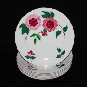 Midwinter Rosslyn Dinner Plates | Rare WRM Rosslyn Antique Plates | Hand Painted & Made in England